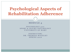 Sport injury rehabilitation adherence