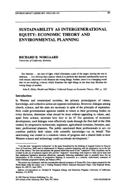 sustainability as intergenerational equity: economic theory and
