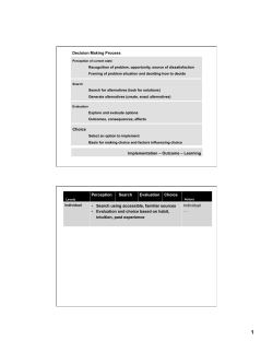 Choice Decision Making Process Implementation &ndash; Outcome