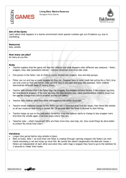 games-snapper-kina-game