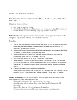 Lesson Plan: Bird Beak Adaptions (Word doc)