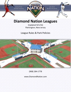 Baseball League Rules