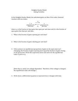Hodgkin-Huxley gating variables