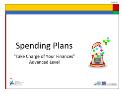 FEFE Budget Plan PowerPoint
