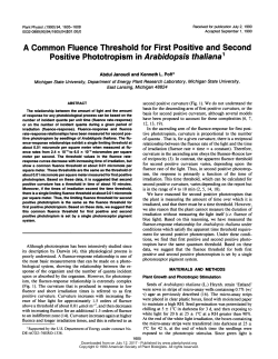 Positive Phototropism in Arabidopsis thaliana