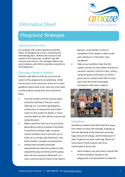 Playground Strategies Information Sheet