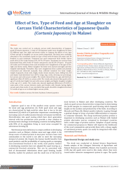 Effect of Sex, Type of Feed and Age at Slaughter