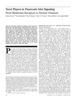 Novel Players in Pancreatic Islet Signaling From