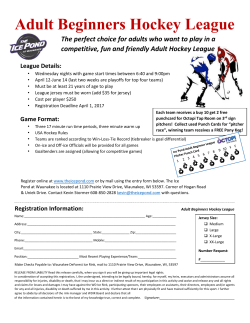 Adult Beginners Hockey League
