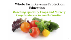 Introduction to WFRP PowerPoint2017