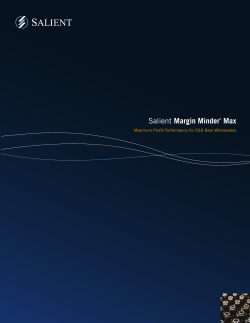 Salient Margin Minder&reg; Max - Salient Management Company