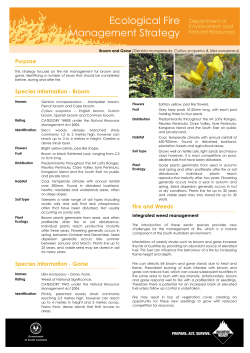 Ecological Fire Management Strategy