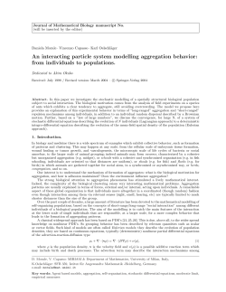 An interacting particle system modelling aggregation behavior: from