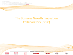 A Perspective on Business Collaboratories
