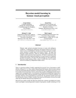 Bayesian model learning in human visual perception