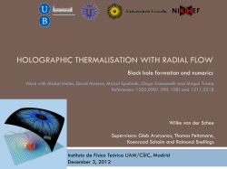 Holographic thermalisation with radial flow