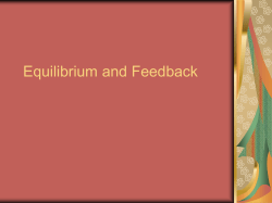 Equilibrium and Feedback