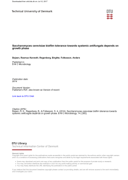 Saccharomyces cerevisiae biofilm tolerance towards