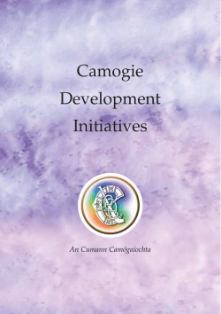 Camogie Development Initiatives
