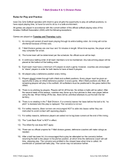 T-Ball Division Commissioner