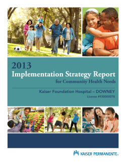 Implementation Strategy Report
