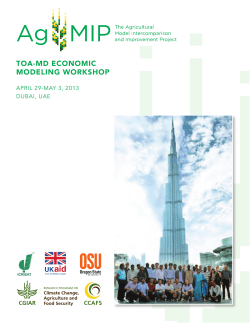 TOA-MD EcOnOMic MODEling WOrkshOp