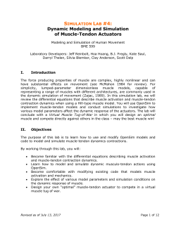 Simulation Lab #4: Dynamic Modeling and Simulation of Muscle