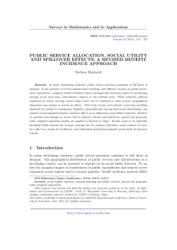 Public service allocation, social utility and spillover effects: a revised