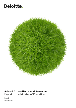 Deloitte report on school expenditure and revenue