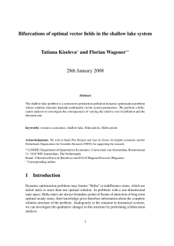 Bifurcations of optimal vector fields in the shallow lake