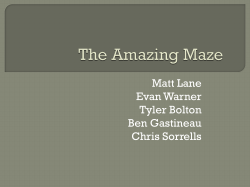 The Amazing Maze