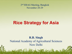 Rice Strategy for Asia - Food and Agriculture Organization of the