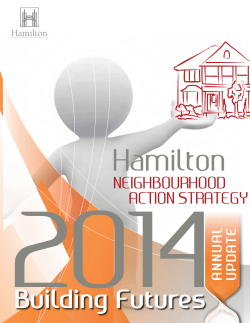 neighbourhood action strategy