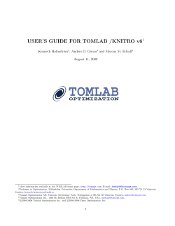 TOMLAB /KNITRO User`s Guide