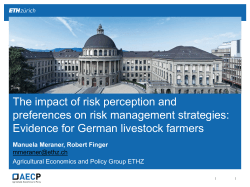 The impact of risk perception and preferences on risk management