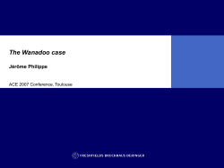 The Wanadoo Case - Association of competition economics