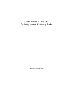 Building Assets, Reducing Risks