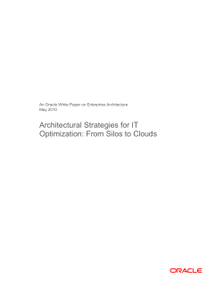 Architectural Strategies for IT Optimization: From Silos to