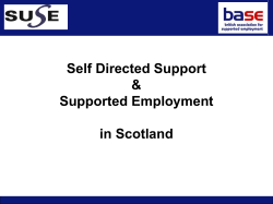 SDS and Supported Employment Summary