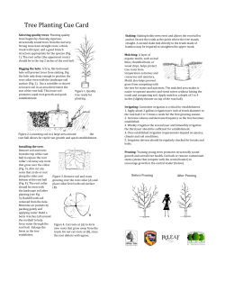 Planting cue cards one sheet