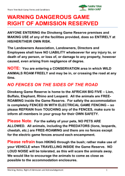 Dangerous Game - Thorn Tree Bush Camp
