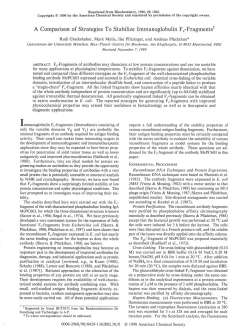 A Comparison of Strategies To Stabilize Immunoglobulin Fv