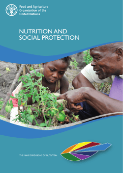 Nutrition and social protection - Food and Agriculture Organization