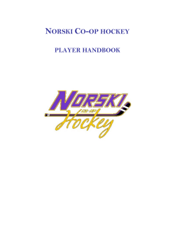 Player Handbook - Norski Co
