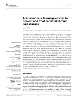 Animal models, learning lessons to prevent and treat neonatal