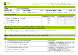template for statement of pupil premium strategy * primary schools