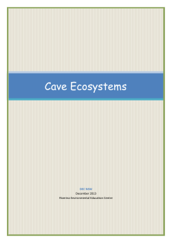 Cave Ecosystems - Riverina Environmental Education Centre