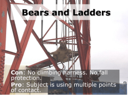 Bears and Ladders - Wellness Proposals