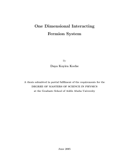 One Dimensional Interacting Fermion System