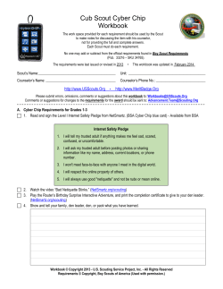 Cub Scout Cyber Chip Workbook